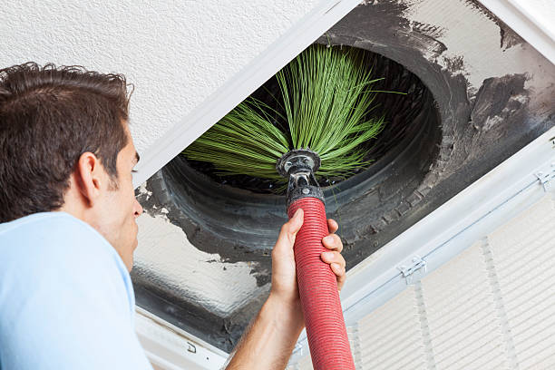 Best Affordable Duct Cleaning Services  in Clearwater, FL